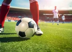 台媒披露王,力宏与李靓,蕾完成离婚,Bet188,Sports,金宝博188bet体育,体育直播,体育赛事,APP下载,官方网地址