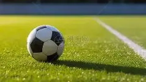 金宝博193bet体育 产品 085624 ggf