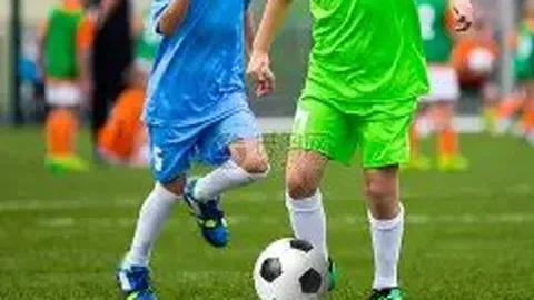 金宝博193bet体育 产品 145134 wdp