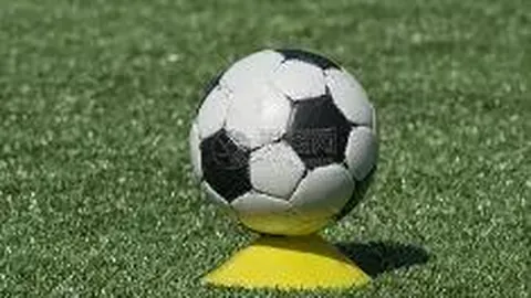 金宝博193bet体育 产品 145150 gp4